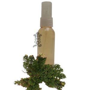 020 - Menjurje de Hierbas Tradicionales - Rosa de Jericó (Selaginella ledipophylla)