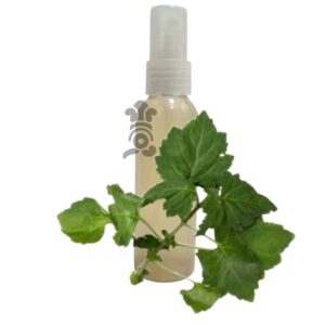 032 - Menjurje de Hierbas Tradicionales - Pachulí (Pogostemon cablin)