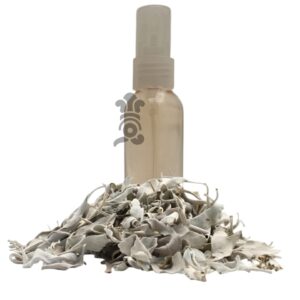 029 - Menjurje de Hierbas Tradicionales - Salvia (Salvia officinalis)