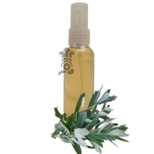 023 - Menjurje de Hierbas Tradicionales - Estafiate (Artemisia ludoviciana)