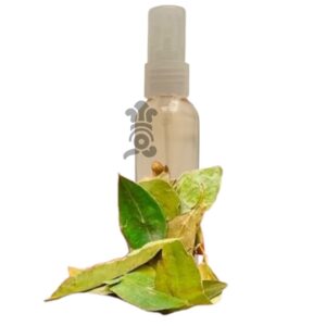 025 - Menjurje de Hierbas Tradicionales - Hoja de Coca (Erythroxylum coca)