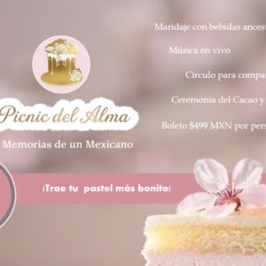 cake picnic aguascalientes